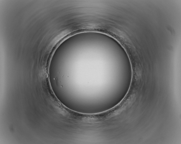 X0000113991073200910161641