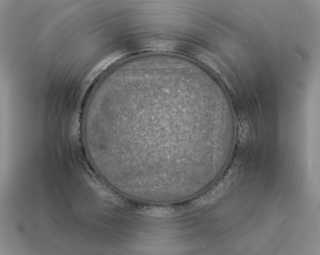 X0000113991074200910161641