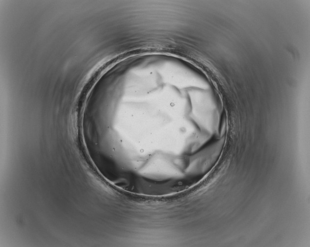 X0000113991075200910161641