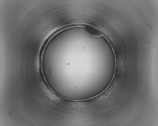 X0000113991076200910161641