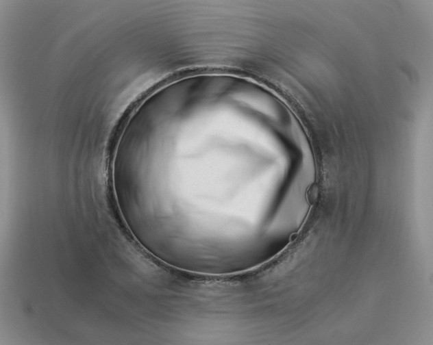 X0000113991077200910161641