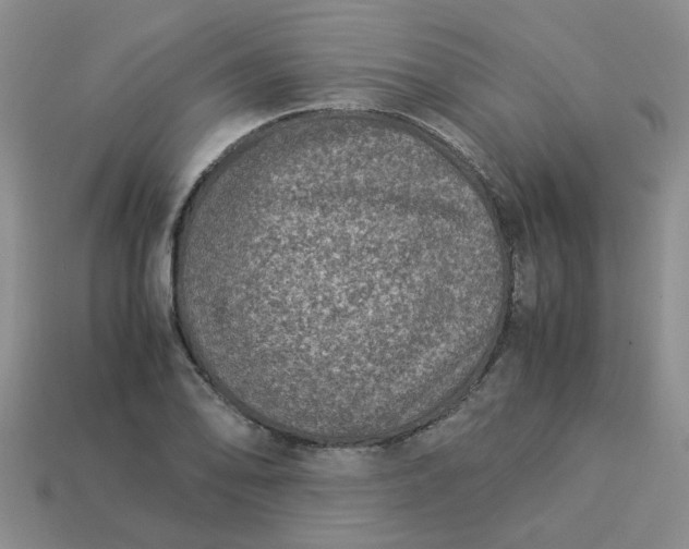 X0000113991078200910161641