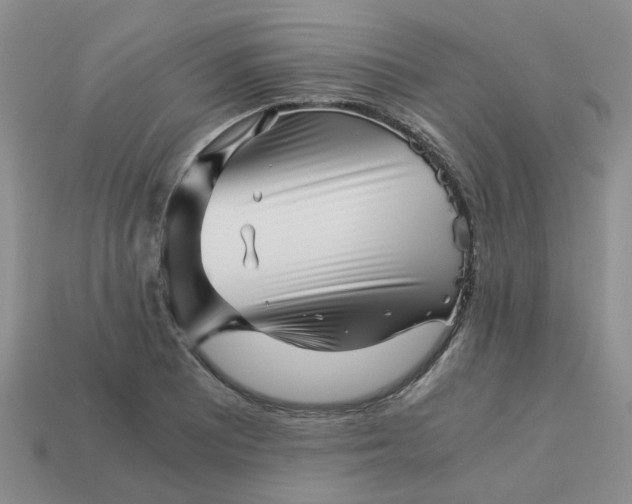 X0000113991081200910161641