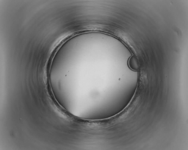 X0000113991082200910161641