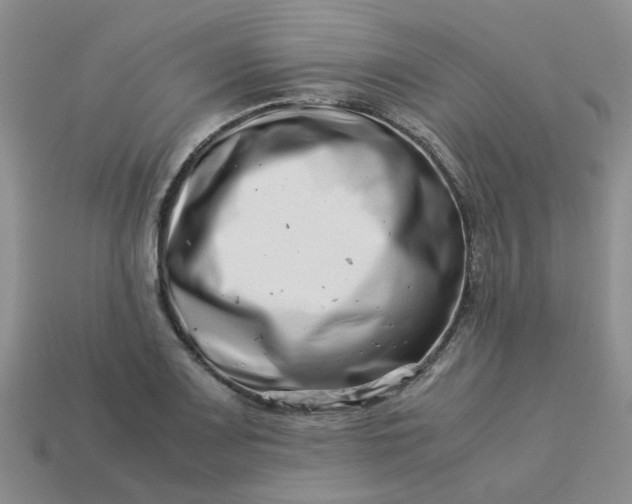 X0000113991083200910161641