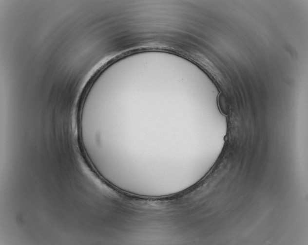 X0000113991084200910161641