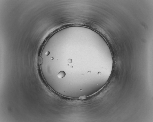 X0000113991085200910161641