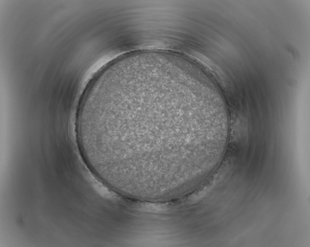 X0000113991086200910161641