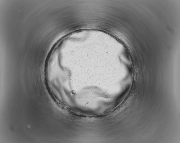 X0000113991087200910161641