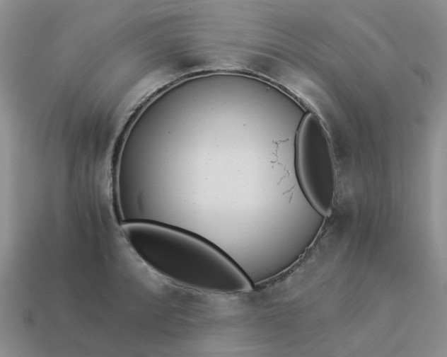 X0000113991088200910161641