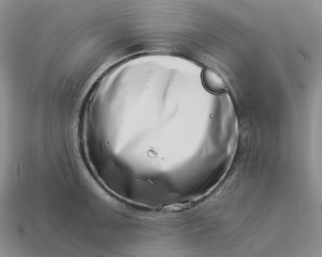 X0000113991091200910161641