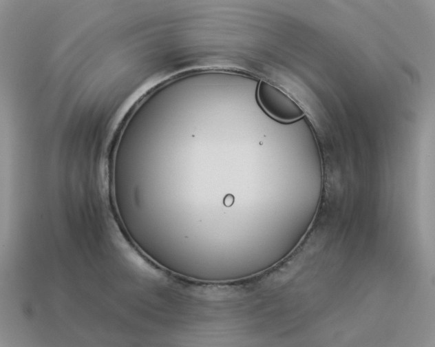 X0000113991092200910161641