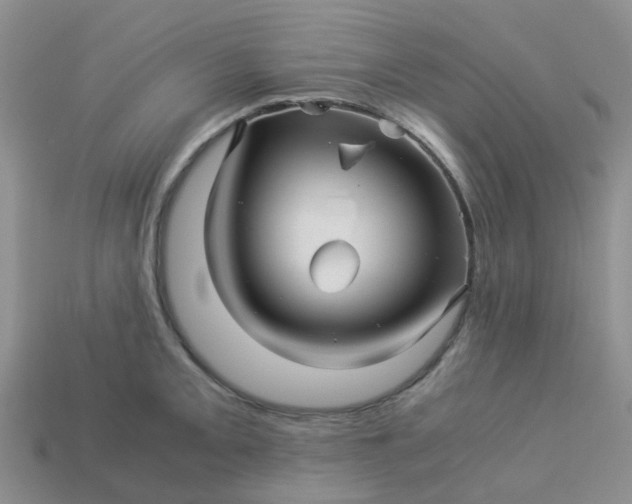 X0000113991093200910161641