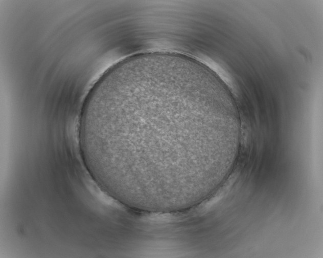 X0000113991094200910161641