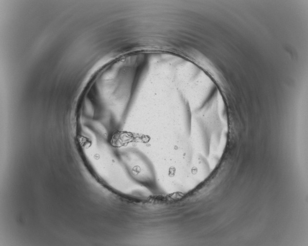 X0000113991095200910161641