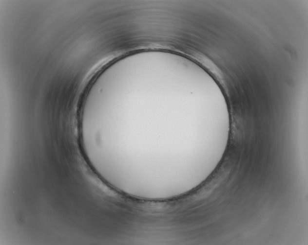 X0000113991096200910161641