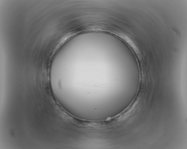 X0000113991097200910161641