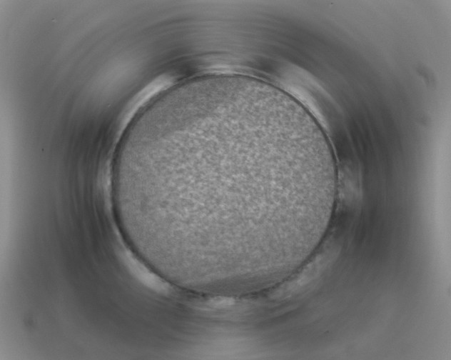 X0000113991098200910161641