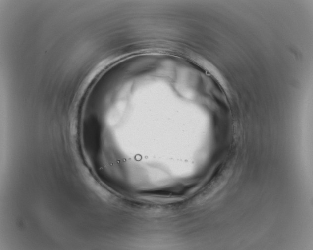 X0000113991099200910161641