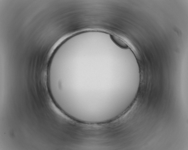 X0000113991100200910161641