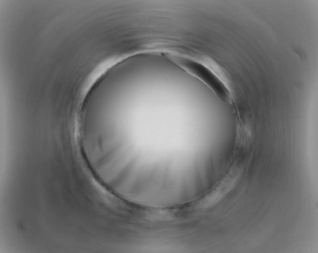 X0000113991101200910161641