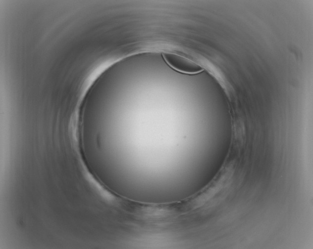 X0000113991103200910161641