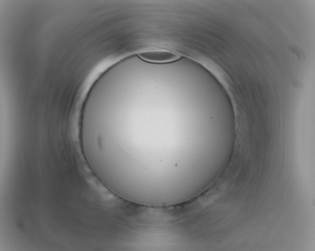 X0000113991104200910161641