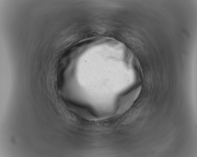 X0000113991105200910161640