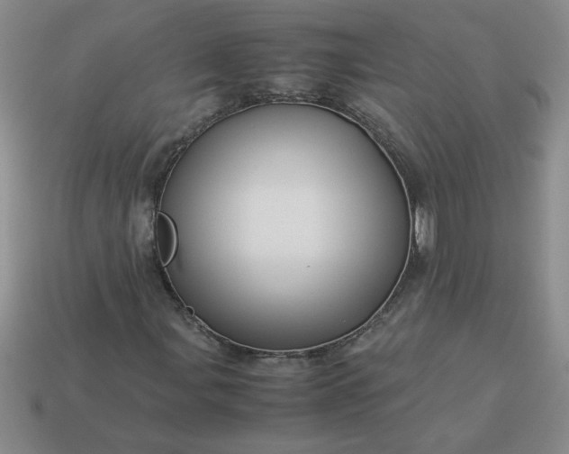 X0000113991107200910161640