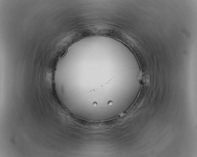 X0000113991108200910161640