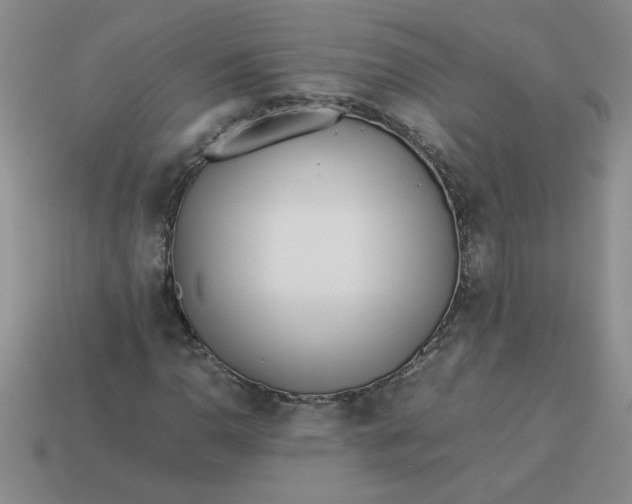 X0000113991110200910161640