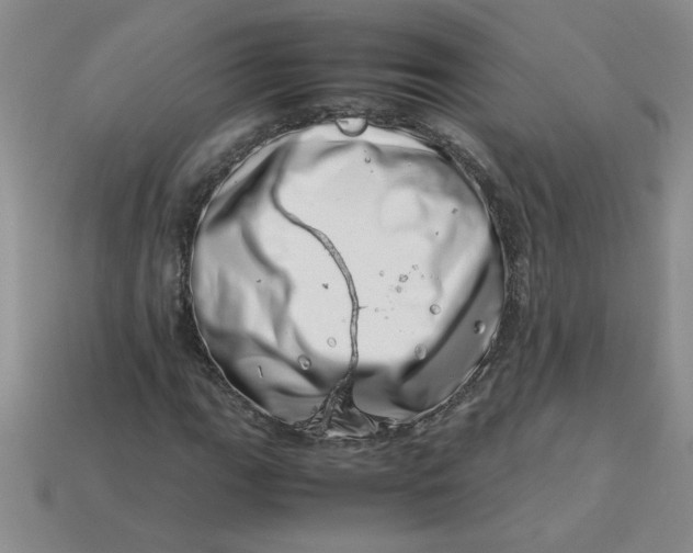 X0000113991111200910161640