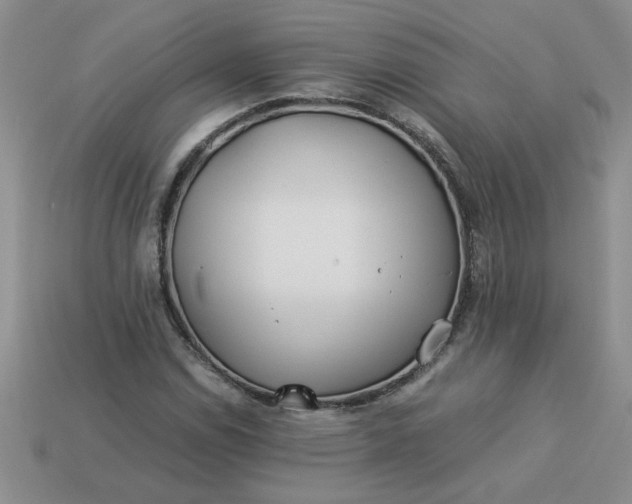 X0000113991114200910161640