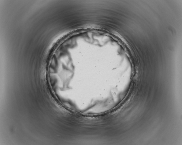 X0000113991115200910161640