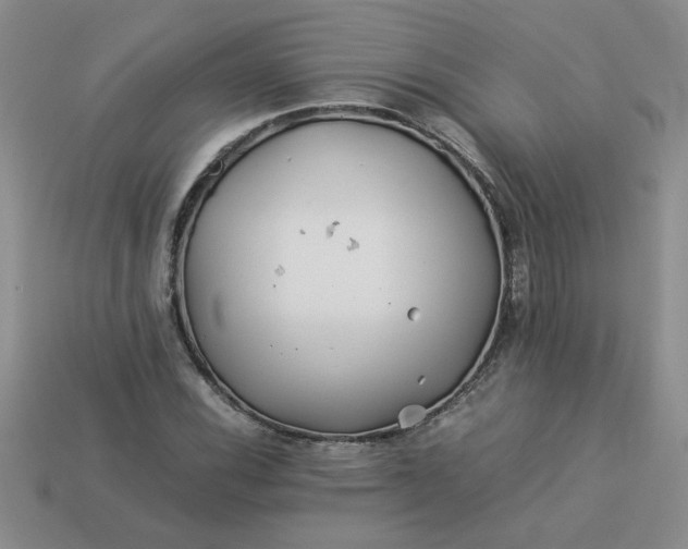 X0000113991116200910161640