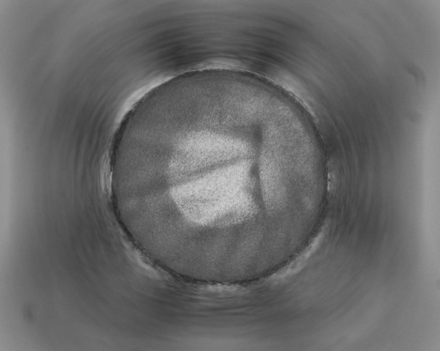 X0000113991117200910161640