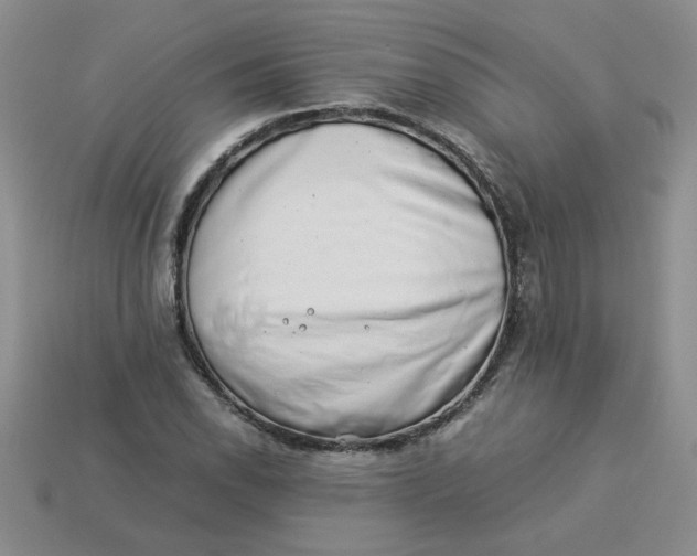 X0000113991118200910161640