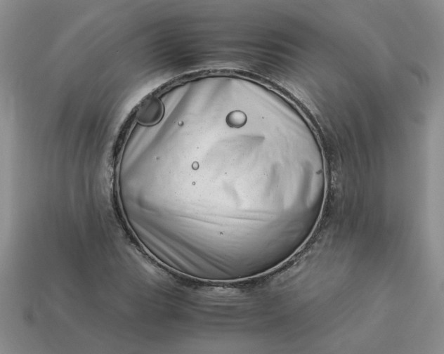 X0000113991119200910161640