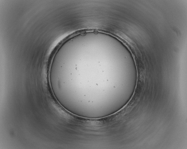 X0000113991120200910161640