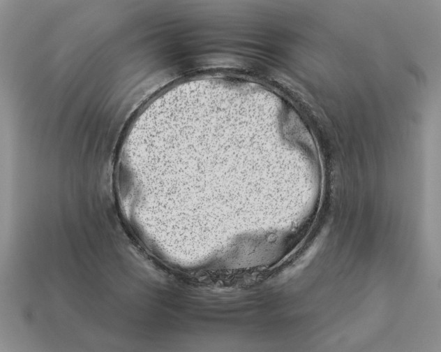 X0000113991121200910161640