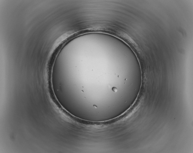 X0000113991122200910161640