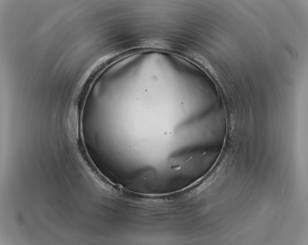 X0000113991123200910161640