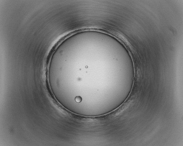 X0000113991124200910161640