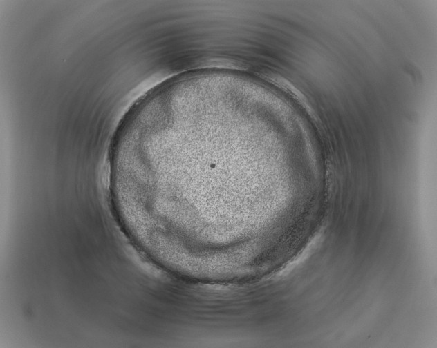 X0000113991125200910161640