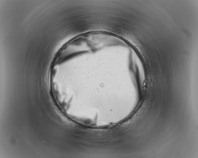 X0000113991127200910161640