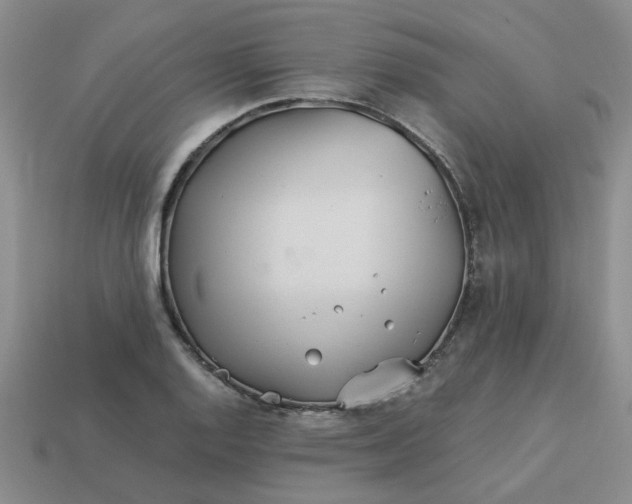 X0000113991128200910161640