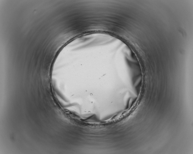 X0000113991129200910161640