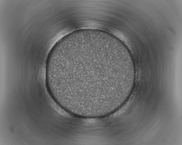 X0000113991130200910161640