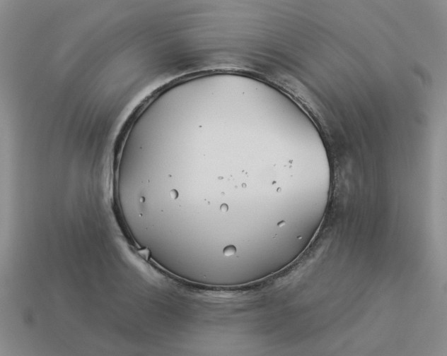 X0000113991132200910161641