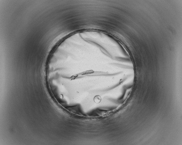 X0000113991133200910161641